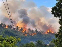 Karhutla di Kaki Gunung Klabat Sudah 11 Hari Belum Padam