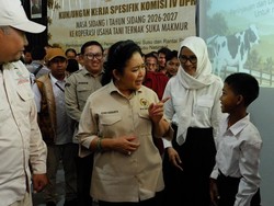 Komisi IV DPR RI Soroti Masa Depan Sapi Grati Saat Kunjungi Pasuruan
