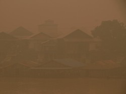 Kabut Asap Karhutla Pukul Petani Sayuran di Palangka Raya