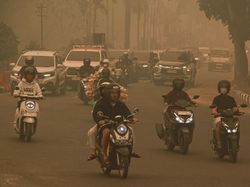 Kabut Asap Masih Menyelimuti, Kalteng Perpanjang Darurat Karhutla 30 Hari