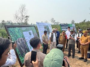 Menhut Dorong Perkuat Koridor Gajah Sumatera di Bukit Tigapuluh Jambi