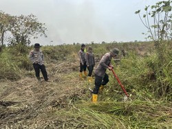Karhutla di TNBS Jambi Diperkirakan Capai 1.000 Hektare