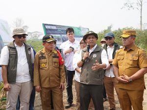 Al Haris dan Menhut Cek Konservasi Gajah hingga Hutan Desa di Jambi