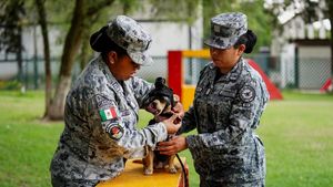 Comando, Chihuahua Kecil yang Jadi Bagian dari Tentara Meksiko