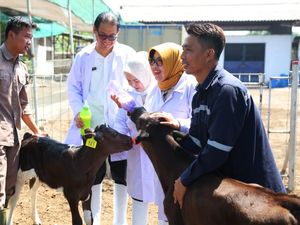 Legislator Gerindra Dorong Sapi Lokal Jadi Andalan Kemandirian Susu Nasional
