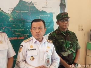 Gubernur Jambi Klaim Karhutla TNBS Belum Masuk Habitat Harimau dan Gajah