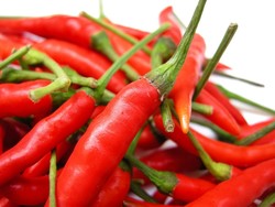 Harga Cabai di Malang Tembus Rp 60 Ribu/Kg, Akibat Musim Kawin?