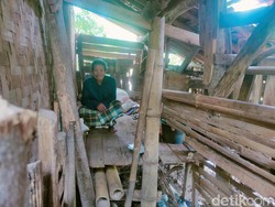 Nestapa Kakek Ubad, Hidup di Bekas Kandang Usai Rumahnya Miring