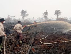 Satgas Lakukan Pendinginan Kebakaran 20 Hektare Lahan di Muaro Jambi
