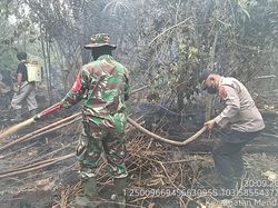 Satgas Padamkan Karhutla di Area SUTET Pematang Rahim Jambi