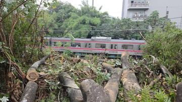 Anker Red Line Ngeluh Stuck 40 Menit gara-gara Pohon Tumbang di Depok