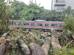 Anker Red Line Ngeluh Stuck 40 Menit gara-gara Pohon Tumbang di Depok