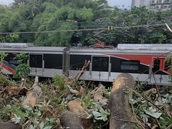 Petugas Ungkap Kendala Saat Evakuasi Pohon Tumbang Tutupi Jalur KRL Dekat UI