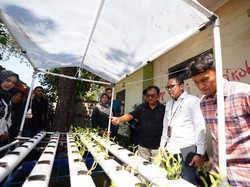 Petrokimia Gresik Sulap Limbah Jadi Pakan, Dorong Ketahanan Pangan 8 Desa