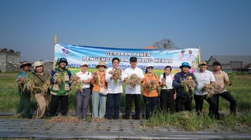 Tekan Inflasi, Pemkab Badung Panen 26 Ton Bawang Merah