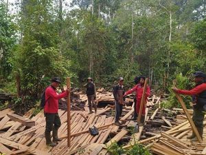 Petugas Temukan 316 Batang Kayu Olahan di TNBS Saat Padamkan Karhutla