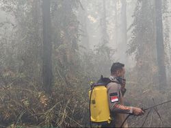 5 Titik Api Terdeteksi di Taman Nasional Way Kambas