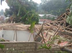 Rumah Warga di Bogor Ambruk Tertimpa Pohon Usai Diterjang Hujan Angin