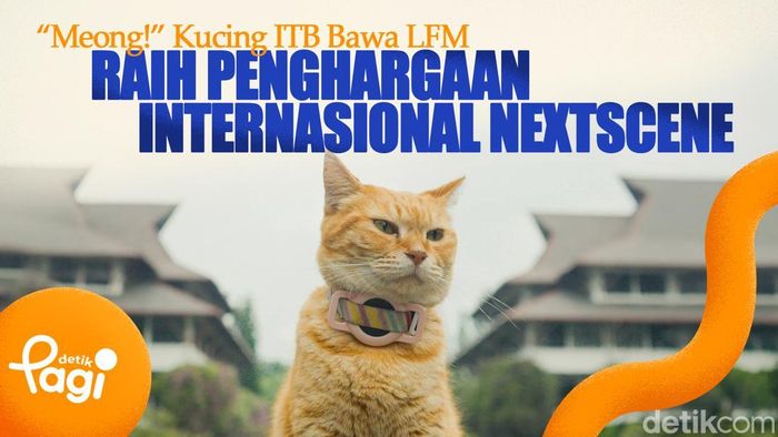 Video: Meong! Kucing ITB Bawa LFM Raih Penghargaan Internasional NextScene 