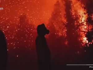 Video: Karhutla Tumbang Nusa, Petugas Hadapi Hujan Bara