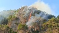Video Polri Tetapkan 4 Korporasi Tersangka Kasus Karhutla