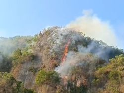 Video: Karhutla TN Babul Sulsel Masuk Hari Keempat, Medan Terjal Jadi Tantangan