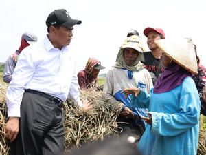 Nilai Tukar Petani Tembus 131,11, Naik 1,49 Persen di September 2026