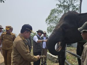 Komitmen Lindungi Habitat dan Koridor Gajah Sumatera di Jambi