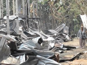 Video: Kebakaran Peternakan di Badung, 15 Ribu Ekor Ayam Terpanggang