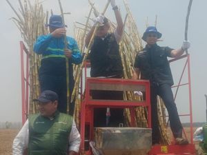 Usai Beras, Lamongan Kini Bidik Swasembada Gula