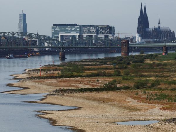 Sungai Rhine Mengering, Permukaan Air Capai Titik Terendah dalam Sejarah