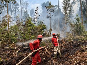 Tim Gabungan Padamkan Karhutla di Banyuasin, 36 Hari Tembus Medan Gambut