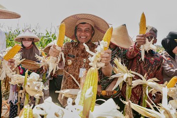Produksi Jagung Jateng Tembus 2,68 Juta Ton, Jadi Lumbung Pangan Nasional