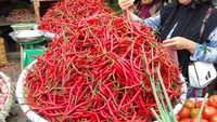 Cabai Merah di Medan Turun Harga, Daging Ayam Ikut Murah