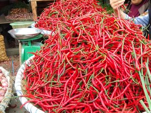 Harga Cabai di Medan Turun, Jadi Rp 75 Ribu per Kg
