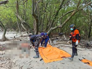 5 Jenazah Diduga Korban KM Virgo Ditemukan di Tanjung Puting
