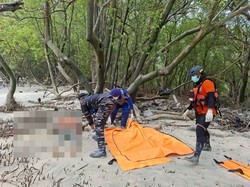 5 Jenazah Diduga Korban Kapal Virgo Ditemukan di Perairan Tanjung Puting
