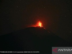 Gunung Ili Lewotolok Erupsi Malam Ini, Muntahkan Lava Sejauh 500 Meter