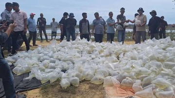 1.835 Hektare Tambak di 3 Provinsi Mulai Dipulihkan Usai Bencana