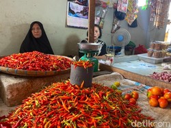 Inflasi Parepare Tembus 3,78% Dipicu Harga Cabai dan Ikan