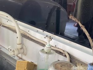 Serbuan Lalat ke Permukiman di Kudus Bikin Jijik