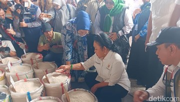 Cek Pasar Induk Cipinang, Titiek Soeharto Sebut Stok Beras Aman Tanpa Impor
