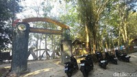 Gulma Bikin Wisata Air Enggak Seru, Pengunjung Bamboe Wanadesa Turun 50%