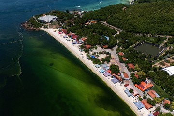 Air Laut di Koh Lan Thailand Menghijau Akibat Plankton