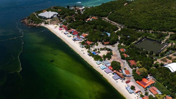 Air Laut di Koh Lan Thailand Menghijau Akibat Plankton