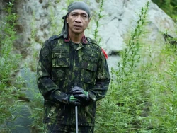 Profil Brigjen Roy Hardi yang Ditunjuk Kapolri Jadi Kapolda Jateng