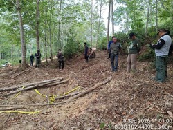 Anak Gajah Mati di Konsesi PT LAJ, Gakkum Selidiki Dugaan Kelalaian