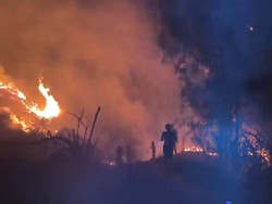 Video: Karhutla Makin Dekat Permukiman di Barito Kuala Kalsel, Warga Panik!