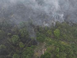 Karhutla Sumsel Belum Padam, Ratusan Hektare Lahan Masih Terbakar
