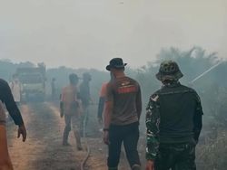 Bakar Sampah Berujung Karhutla, 5 Hektare Lahan Gambut Terbakar di Lamandau